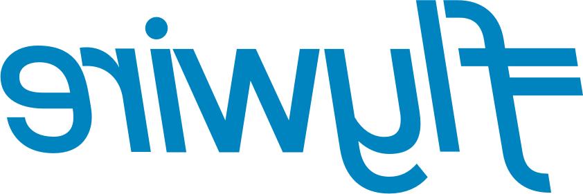 Flywire Logo